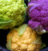 Meet Brassica oleracea. The common name for this is Muti-Color Cauliflower Mix. Stargazer Exotics is proud to offer the freshest of rare plant seeds. Check this Muti-Color Cauliflower Mix (Brassica oleracea) out along with all of our other Heirloom Vegetable and Rare Finds Trees plant seeds here at Stargazer Exotics. We ship these Heirloom Vegetable and Rare Finds seeds from Canada to anywhere in the World.
