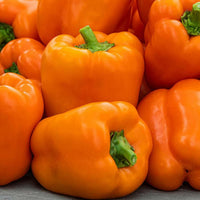 Etuida Orange Sweet Bell Pepper