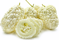 Bitter Melon ( Pure White )