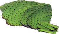 Nopal Cactus Pads - FROZEN | reptile and terrarium supplies