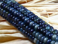 Meet Zea mays. The common name for this is Blue Glass Gem Corn. Stargazer Exotics is proud to offer the freshest of rare plant seeds. Check this Blue Glass Gem Corn (Zea mays) out along with all of our other Heirloom Vegetable and Rare Finds plant seeds here at Stargazer Exotics. We ship these Heirloom Vegetable and Rare Finds seeds from Canada to anywhere in the World.
