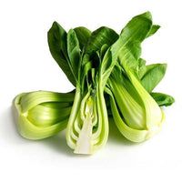 Meet Brassica rapa. The common name for this is Canton Pak Choi / Bok Choy. Stargazer Exotics is proud to offer the freshest of rare plant seeds. Check this Canton Pak Choi / Bok Choy (Brassica rapa) out along with all of our other Heirloom Vegetable and Rare Finds plant seeds here at Stargazer Exotics. We ship these Heirloom Vegetable and Rare Finds seeds from Canada to anywhere in the World.