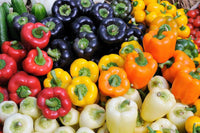 Meet Capsicum annuum. The common name for this is Rainbow Sweet Bell Peppers. Stargazer Exotics is proud to offer the freshest of rare plant seeds. Check this Rainbow Sweet Bell Peppers (Capsicum annuum) out along with all of our other Heirloom Vegetable and Rare Finds Trees plant seeds here at Stargazer Exotics. We ship these Heirloom Vegetable and Rare Finds seeds from Canada to anywhere in the World.
