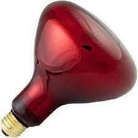 Infrared Heat Lamp 75 Watt | reptile and terrarium supplies