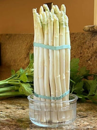 White Asparagus