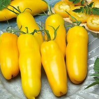 Golden Banana Tomato