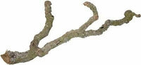 Cork Branches - Thick | reptile and terrarium supplies