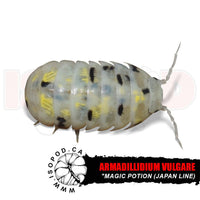 Magic Potion Isopods (Japan Line)