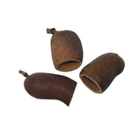 Jatoba Pods | reptile and terrarium supplies