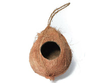 Hanging Coconut Hides | reptile and terrarium supplies