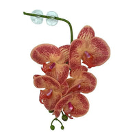 Pangea Hanging Orange and Yellow Orchid | reptile and terrarium supplies