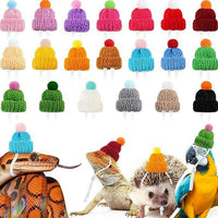 Beanie / Toque for Reptiles | reptile and terrarium supplies