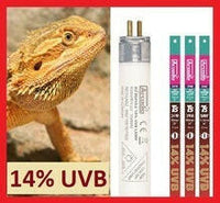 T5 HO Dragon Lamps 14% UVB | reptile and terrarium supplies