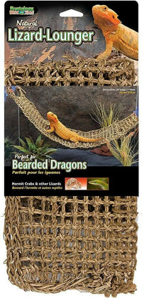 Lizard Lounger | reptile and terrarium supplies