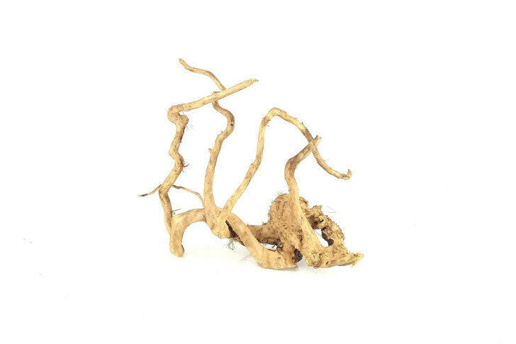 Spider Wood | reptile and terrarium supplies