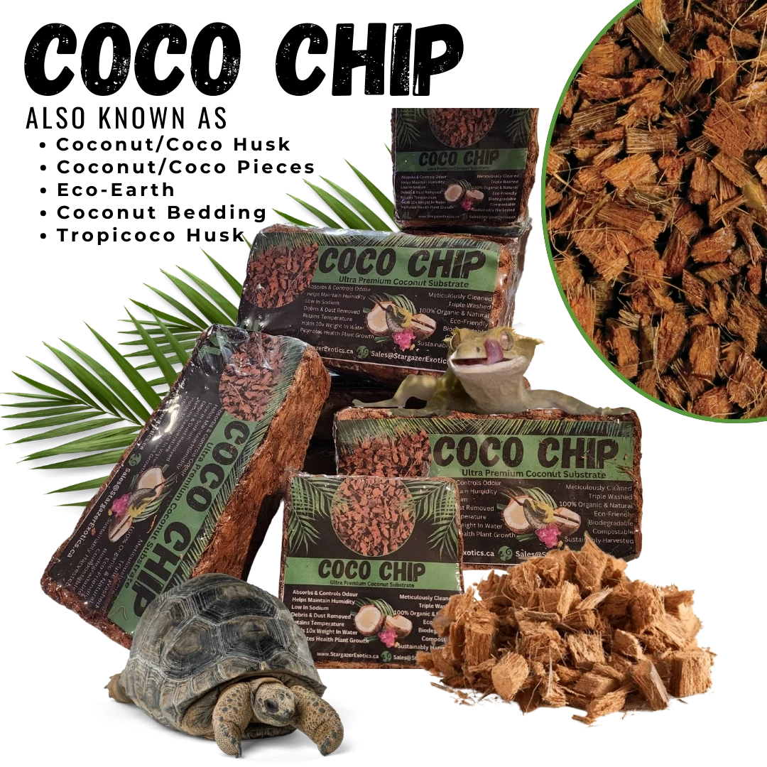 Coco Chip / Coco Husk | reptile and terrarium supplies