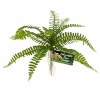 Naturalistic Flora - Sword Fern | reptile and terrarium supplies