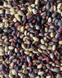 Meet Canavalia gladiata. The common name for this is African Sword Beans - Assorted Mix. Stargazer Exotics is proud to offer the freshest of rare plant seeds. Check this African Sword Beans - Assorted Mix (Canavalia gladiata) out along with all of our other Heirloom Vegetable and Rare Finds> plant seeds here at Stargazer Exotics. We ship these Heirloom Vegetable and Rare Finds seeds from Canada to anywhere in the World.