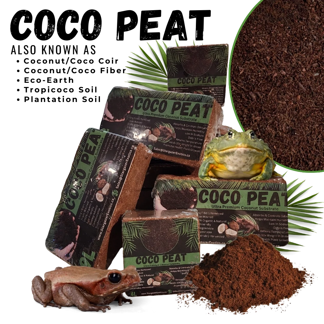 Coco Coir / Coco Peat | reptile and terrarium supplies