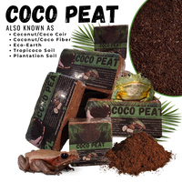 Coco Coir / Coco Peat | reptile and terrarium supplies