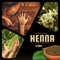 Meet Lawsonia inermis. The common name for this is Henna Tree. Stargazer Exotics is proud to offer the freshest of rare plant seeds. Other Common names for this rare Other Rare Plants are : Lawsonia Inermis, Mehndi Plant, Egyptian Privet, Al-Khanna, Mignonette Tree, Camphire. Check this Henna Tree ( Lawsonia inermis) out along with all of our Other Rare Plants seeds here at Stargazer Exotics. We ship these Other Rare Plants seeds from Canada to anywhere in the World.