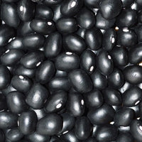 Meet Phaseolus vulgaris var. nana. The common name for this is Black Lima Beans / Black Speckled Butter Bean. Stargazer Exotics is proud to offer the freshest of rare plant seeds. Check this Black Lima Beans / Black Speckled Butter Bean(Phaseolus vulgaris var. nana) out along with all of our other Heirloom Vegetable and Rare Finds plant seeds here at Stargazer Exotics. We ship these Heirloom Vegetable and Rare Finds seeds from Canada to anywhere in the World.