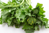 Rapini Broccoli / Broccoli Rabe