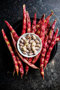 Meet Phaseolus vulgaris 'Borlotti'. The common name for this is Roman Cranberry Bean / Borlotti Bean. Stargazer Exotics is proud to offer the freshest of rare plant seeds. Other Common names for this rare Other Rare Plants are : Borlotto Bean, Italian Cranberry Bean. Check this Roman Cranberry Bean / Borlotti Bean (Phaseolus vulgaris 'Borlotti') out along with all of our Other Rare Plants seeds here at Stargazer Exotics. We ship these Other Rare Plants seeds from Canada to anywhere in the World.
