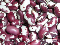 Meet Phaseolus vulgaris. The common name for this is 1500 Year Old Cave Bean. Stargazer Exotics is proud to offer the freshest of rare plant seeds. Check this 1500 Year Old Cave Bean (Phaseolus vulgaris) out along with all of our other Heirloom Vegetable and Rare Finds plant seeds here at Stargazer Exotics. We ship these Heirloom Vegetable and Rare Finds seeds from Canada to anywhere in the World.