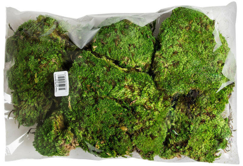 Royal Pillow Moss | reptile and terrarium supplies