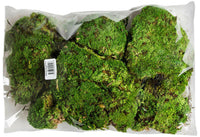 Royal Pillow Moss | reptile and terrarium supplies