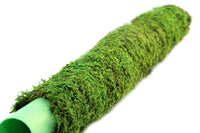 Mossy Poles 36' | reptile and terrarium supplies