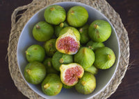 Meet Ficus carica. The common name for this is Calimyrna Fig. Stargazer Exotics is proud to offer the freshest of rare plant seeds. Other Common names for this rare Other Rare Plants are: Edible fig, sweet fig, black fig, white fig, Smyrna fig, Adriatic fig, Kadota fig. Check this Calimyrna Fig (Ficus carica) out along with all of our Other Rare Plants seeds here at Stargazer Exotics. We ship these Other Rare Plants seeds from Canada to anywhere in the World.