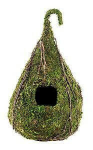 Galapagos Raindrop Hide | reptile and terrarium supplies