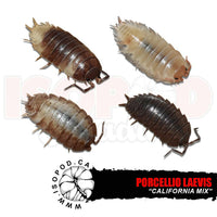 CaliMix Isopods