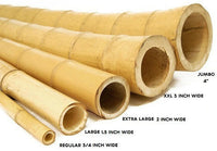 Jumbo Bamboo Tubes | reptile and terrarium supplies