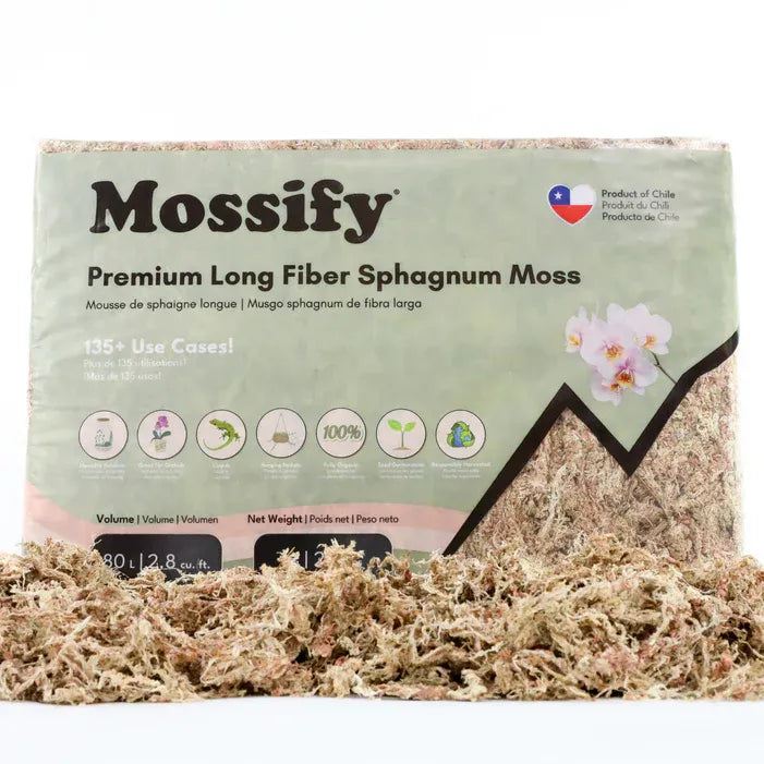 Premium Natural Sphagnum Moss | reptile and terrarium supplies