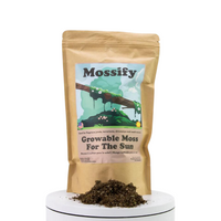 Growable Moss for Bright Environments | reptile and terrarium supplies