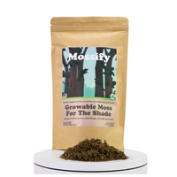 Growable Moss for Shade Environments | reptile and terrarium supplies