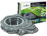 Single Reptile Magnetic Feeding Ledge | reptile and terrarium supplies