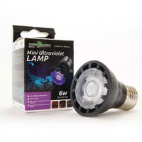 LED Mini Ultraviolet Lamp 6w | reptile and terrarium supplies