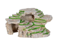 Shale Step Ledge | reptile and terrarium supplies