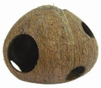 Coconut Fun House | reptile and terrarium supplies