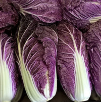 This is Brassica rapa var. pekinensis. The common name for this is Merlot Cabbage - Lavander Nappa Cabbage. Whimsy and Wonder Seeds sells the freshest of heirloom seeds, vegetable seeds and rare garden seeds. Check this San Brassica oleracea var. capitata (Brassica rapa var. pekinensis) out along with all of our Heirloom vegetables and rare garden plant seeds hereat Whimsy and Wonder Seeds. We ship these garden seeds from Canada to anywhere in the World.
