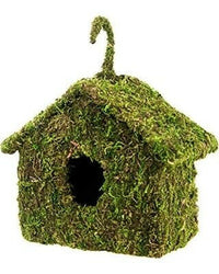 Bird House Reptile Hide | reptile and terrarium supplies