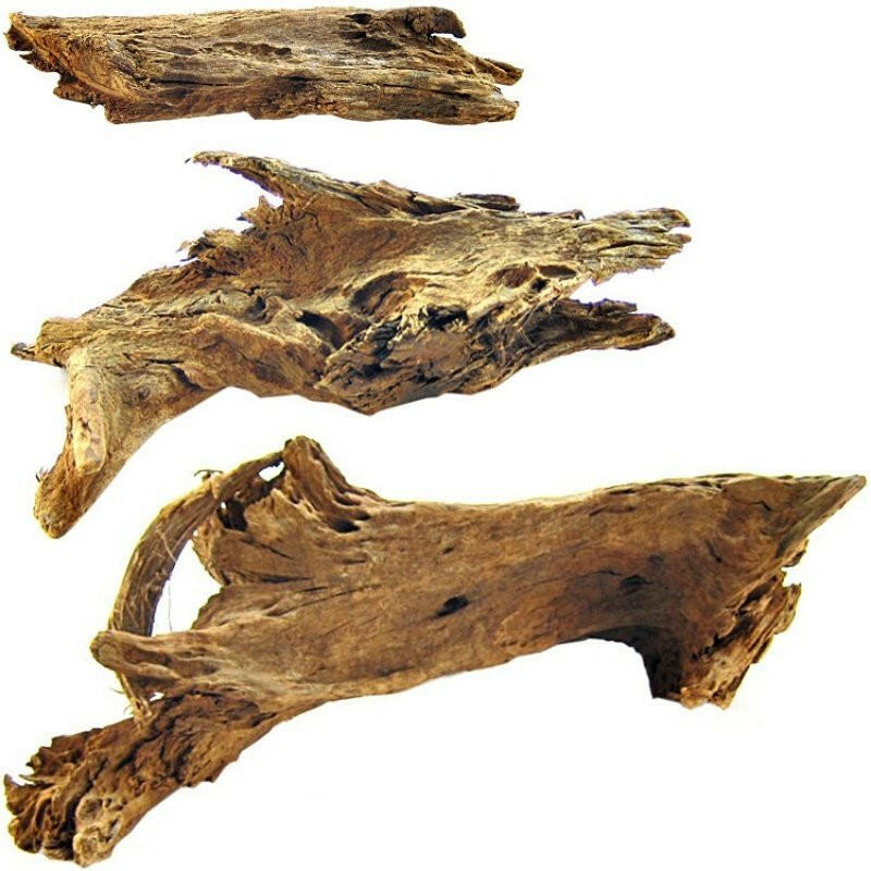 Malaysian Driftwood | reptile and terrarium supplies