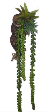 Magnetic 22' Hanging Berries On Real Wood | reptile and terrarium supplies