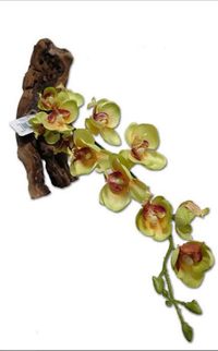 Magnetic 16' Yellow/Purple Orchid On Real Wood | reptile and terrarium supplies