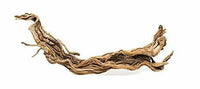 Dragon Root | reptile and terrarium supplies