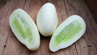 This is Cucumis sativus. The common name for this is White Wonder Cucumber. Whimsy and Wonder Seeds sells the freshest of heirloom seeds, vegetable seeds and rare garden seeds. Check this White Wonder Cucumber (Cucumis sativus) out along with all of our Heirloom vegetables and rare garden plant seeds here at Whimsy and Wonder Seeds. We ship these garden seeds from Canada to anywhere in the World.